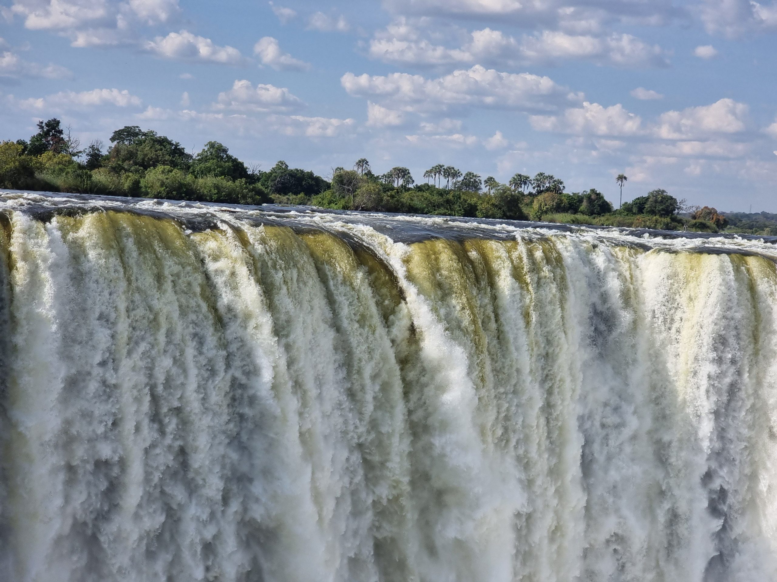 Elefantes durante un safari en Zimbabue