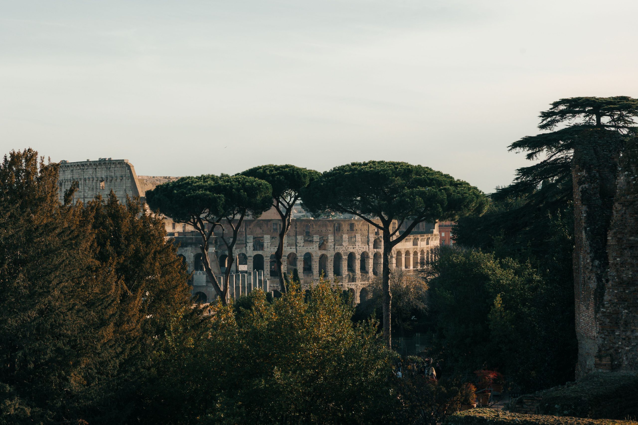 Canal de Venecia rodeado de edificios históricos
