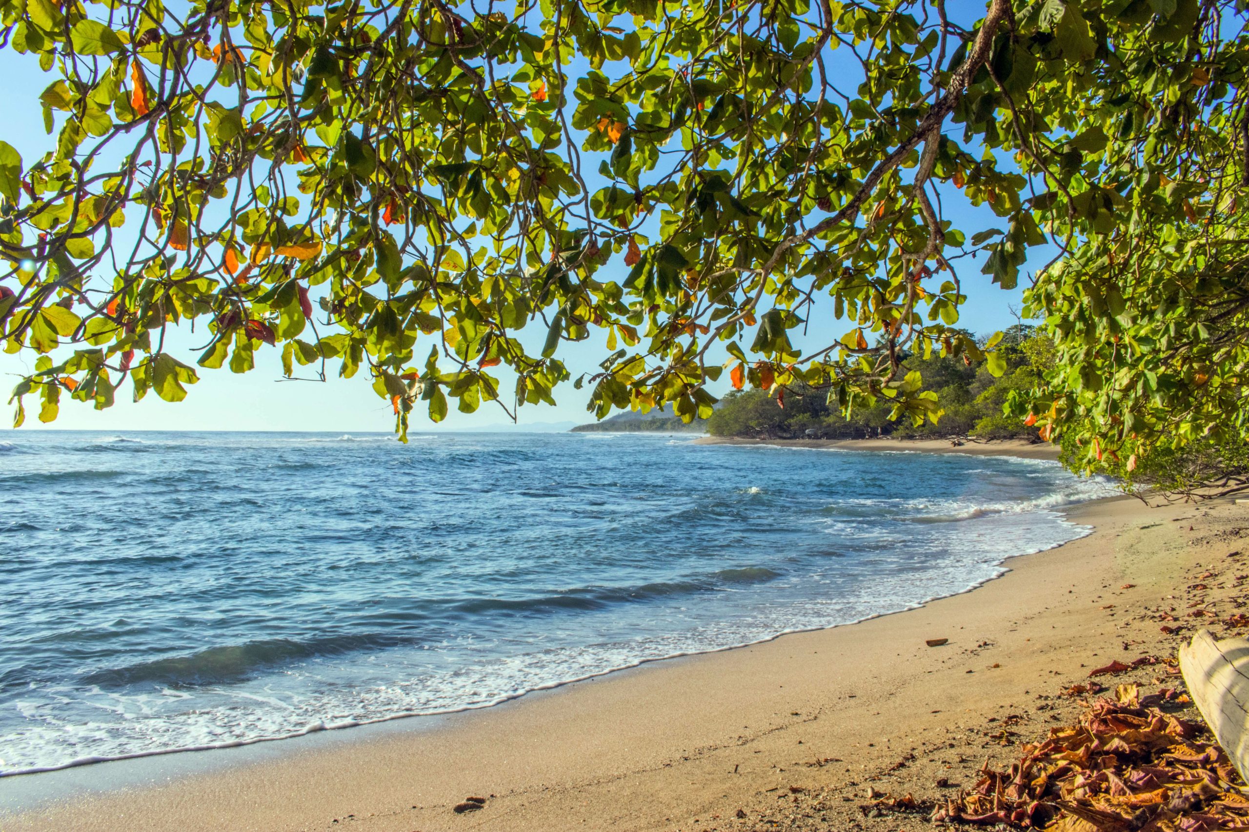 Playa del Pacífico de Costa Rica