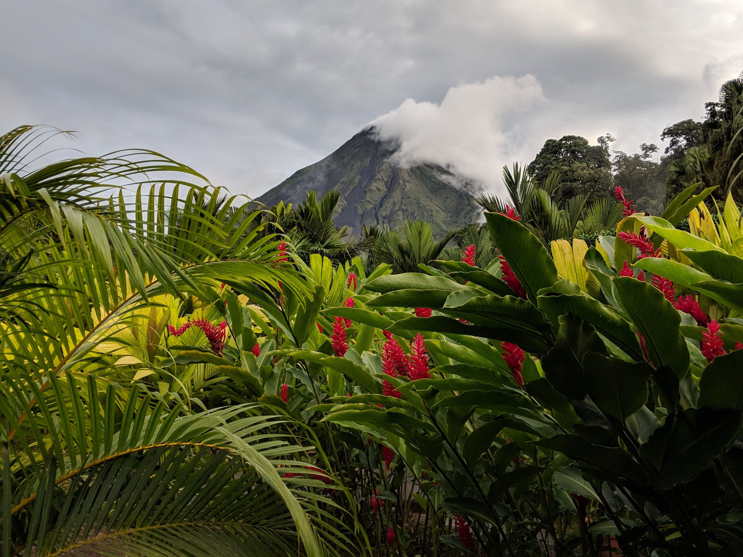 Volcán Arenal rodeado de vegetación tropical