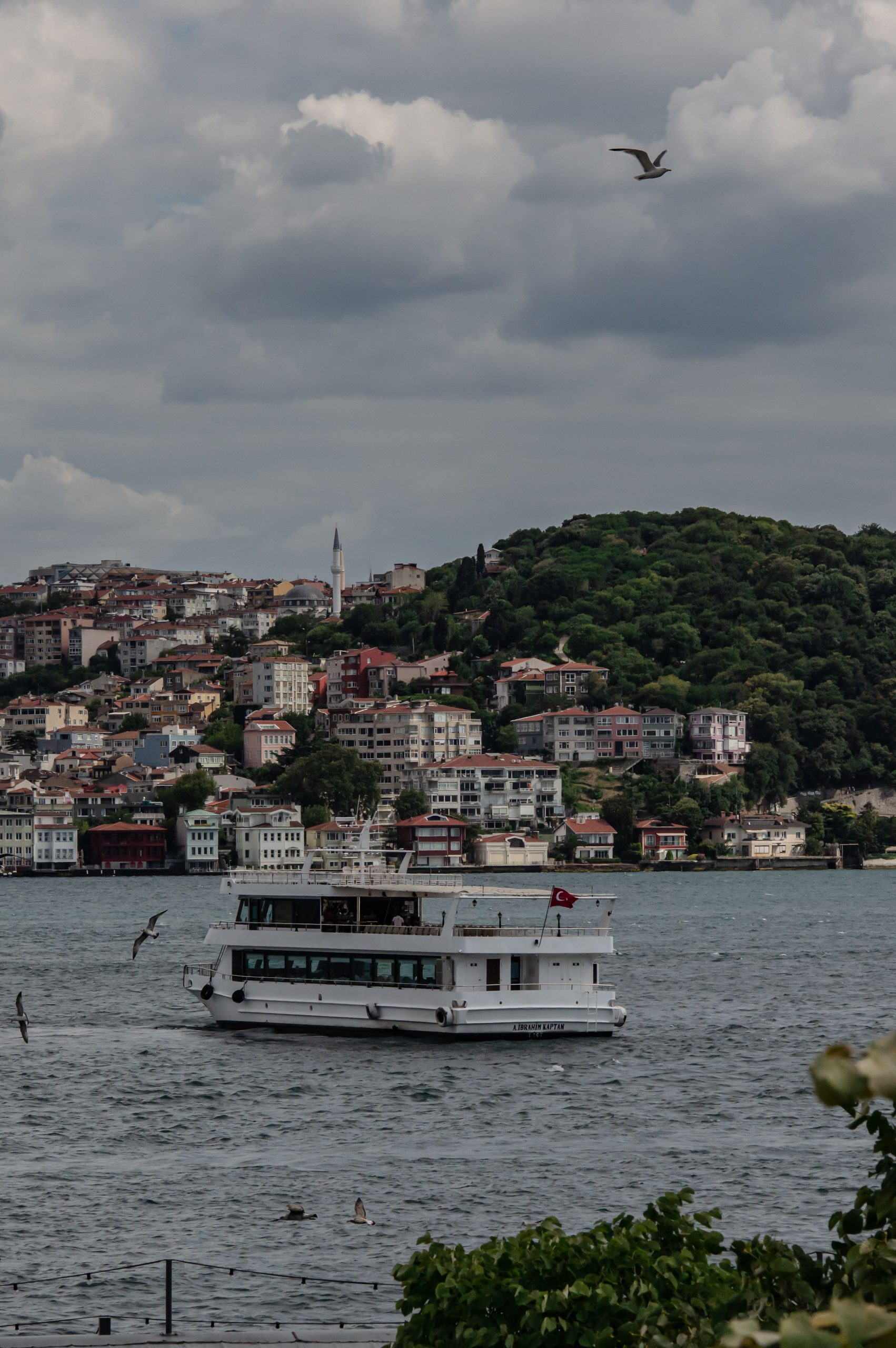 Vista de Estambul junto al Bósforo