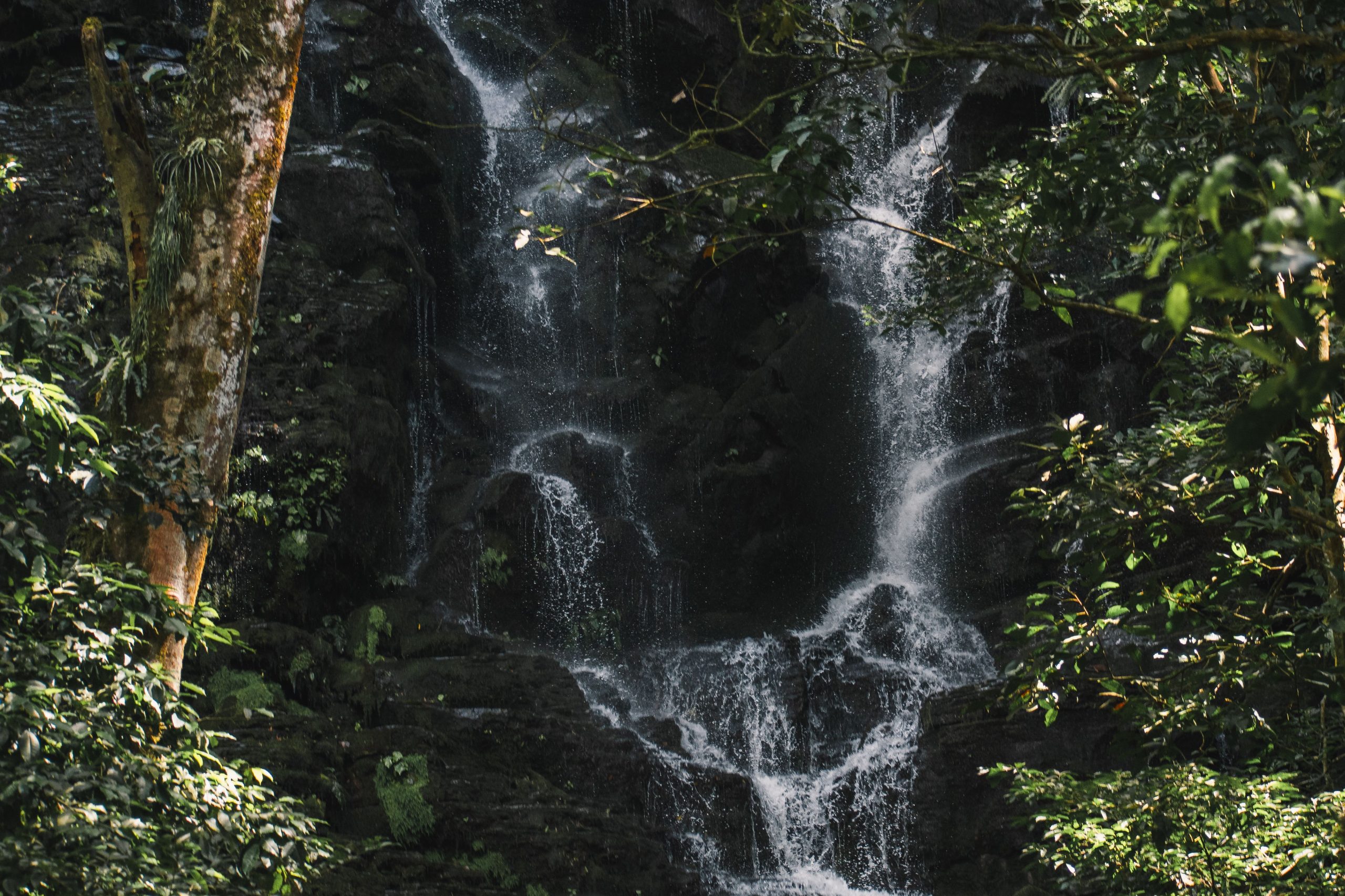 Cascada en la selva tropical de Costa Rica