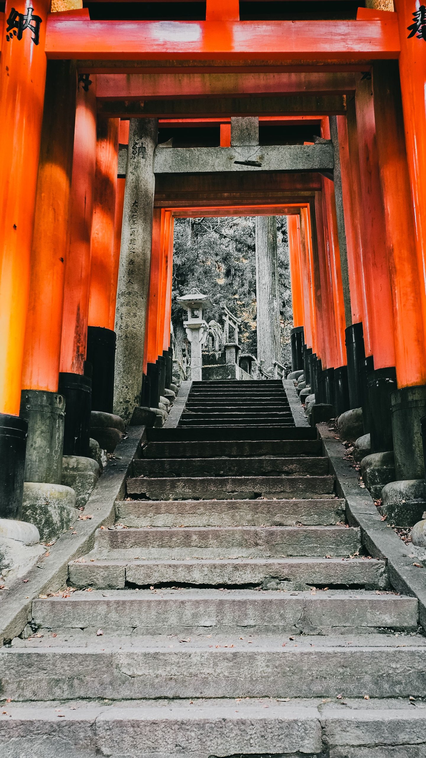 Puertas torii rojas de Fushimi Inari en Kioto