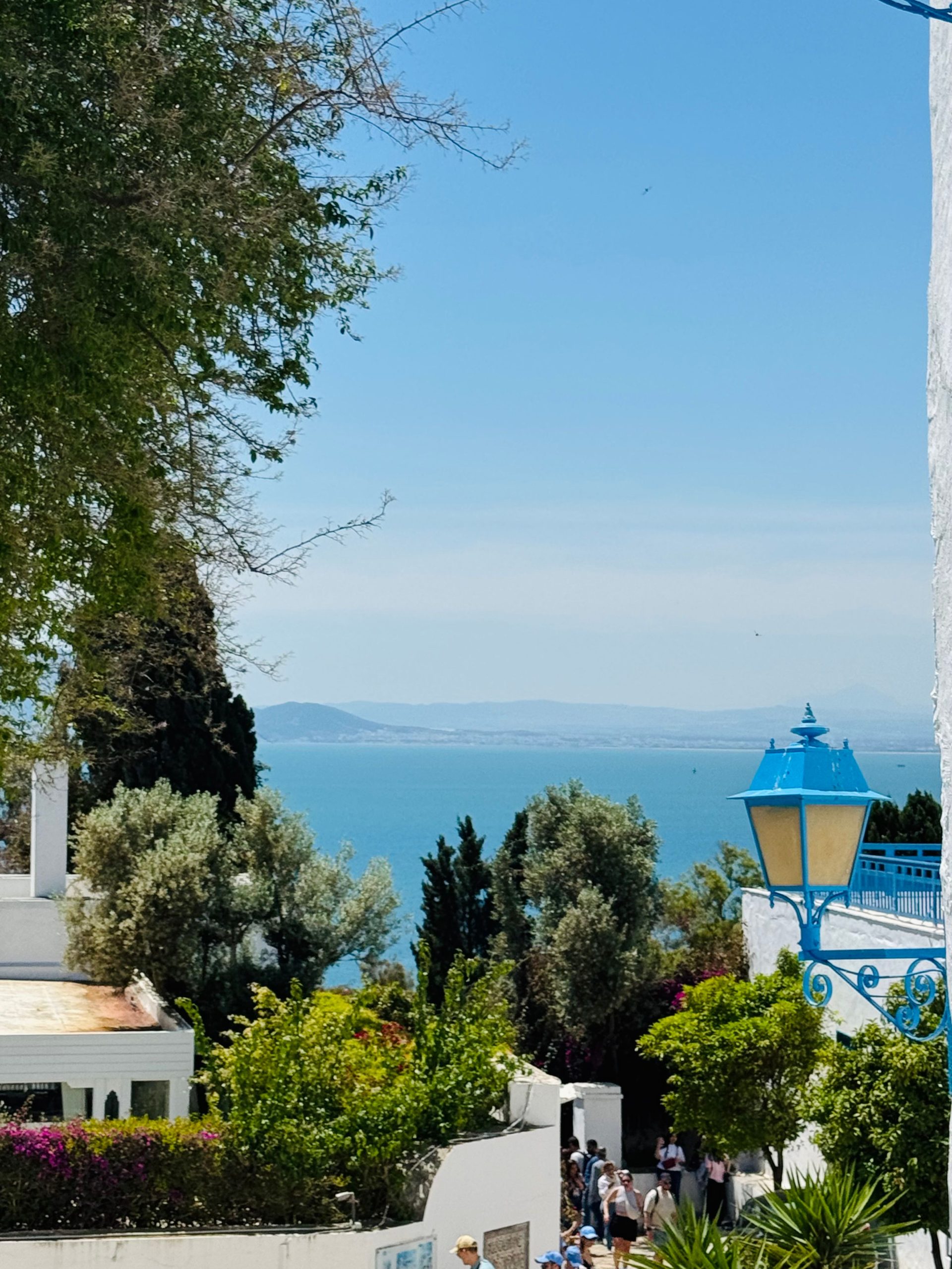 Arquitectura azul y blanca de Sidi Bou Said